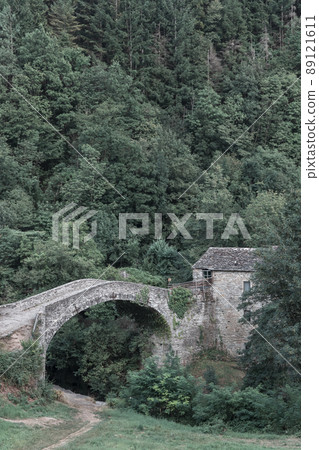 Medieval arch bridge in Giumella, National park Foreste Casentinesi, Campigna, Italy Medieval arch bridge in Giumella, National park Foreste Casentinesi, Campigna, Italy 89121611