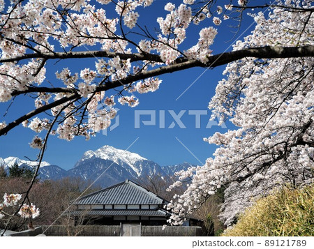 山梨縣 Kai Komagatake and Kiyoharu Art Village Sakura April 89121789