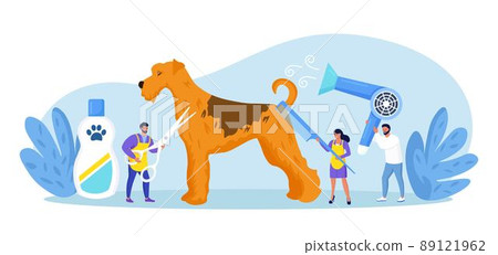 People caring of domestic animals or pets, blow drying, cutting fur, washing. Pet haircut, grooming. Cute dog at groomer salon 89121962