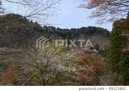 A view of the mountain cherry tree A view of the mountain cherry tree 89122862