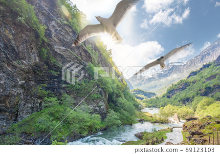 Deep valley with river of Norwegian fjords against seagulls close the train journey Flamsbana between Flam and Myrdal in Aurland in Western Norway Deep valley with river of Norwegian fjords against seagulls close the train journey Flamsbana between Flam and Myrdal in Aurland in Western Norway 89123103