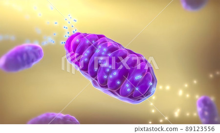 ATP synthase 3d medical 3D Render 89123556