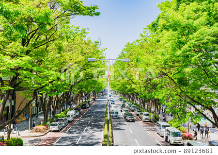 Tokyo fresh green Omotesando 89123681