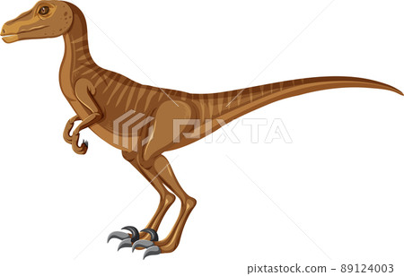 Velociraptor dinosaur on white background 89124003