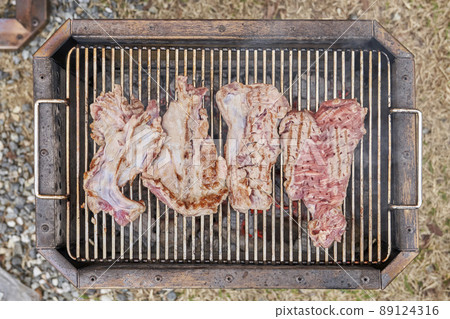 Seagull meat, meat, camping Seagull meat, meat, camping 89124316
