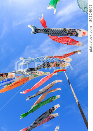 Carp streamer Carp streamer 89124691