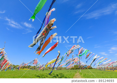 Carp streamer Carp streamer 89124693