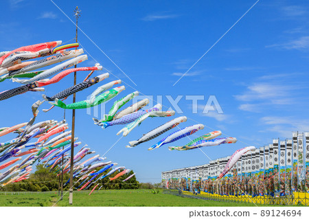 Carp streamer Carp streamer 89124694