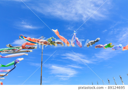 Carp streamer Carp streamer 89124695