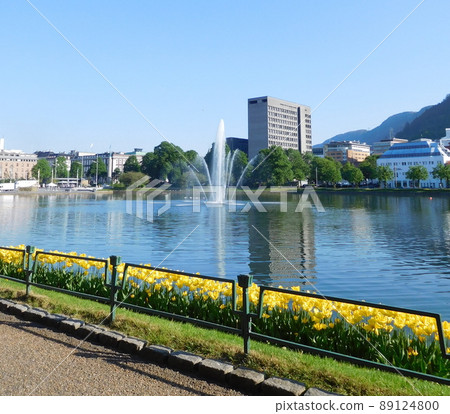 Norway Bergen Lille Lungegås Lake Norway Bergen Lille Lungegås Lake 89124800