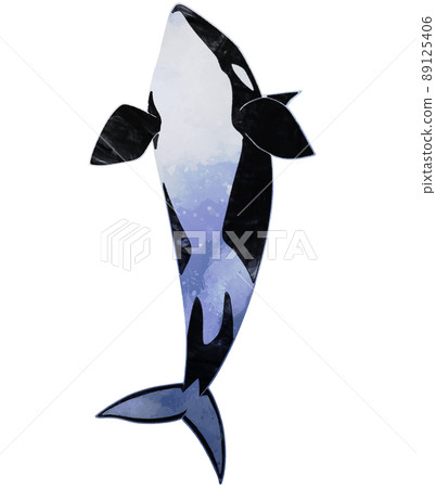 Killer whale to jump - Stock Illustration [89125406] - PIXTA