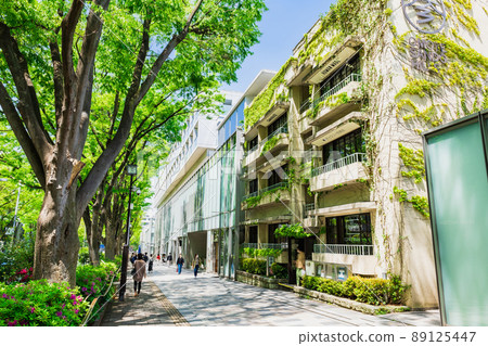 Tokyo fresh green Omotesando 89125447