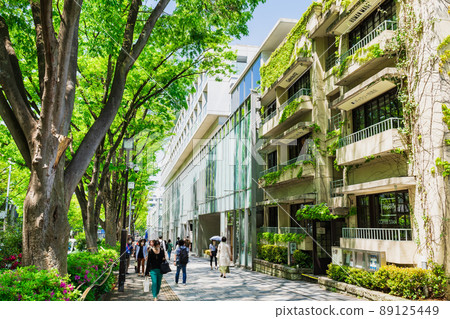 東京新鮮的綠色表參道 89125449
