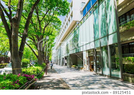東京新鮮的綠色表參道 89125451