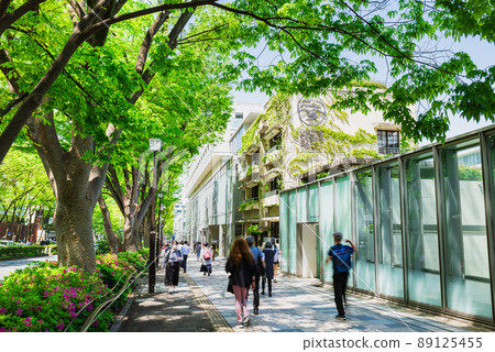 Tokyo fresh green Omotesando 89125455