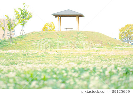 Buildings and white clover on the hills of the park 89125699
