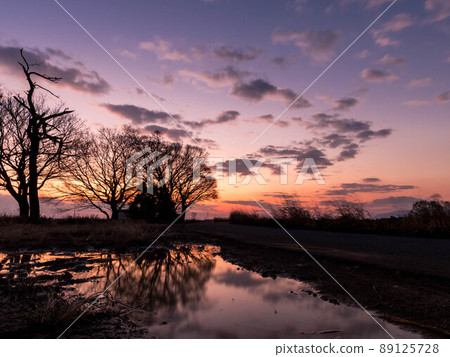 早上的景觀 89125728