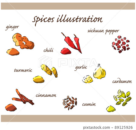 Hand-drawn illustration set of spices and spices 89125926