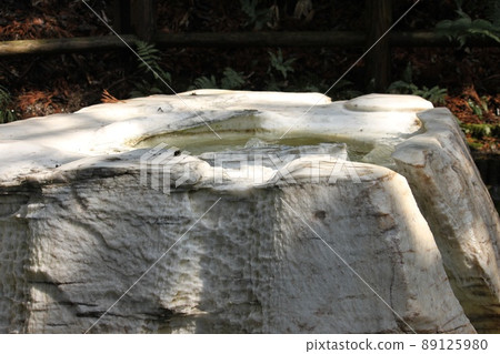 Kairakuen's Togyokusen 89125980