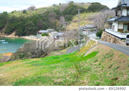 椿島/大菱島最大的定居點，岡山縣笠岡市 89126992