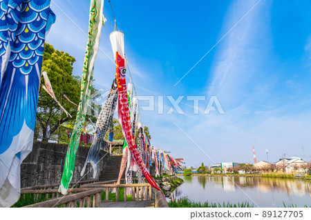 Sayagawa Sogo Park, carp streamer flying in the sky <Ama District, Aichi Prefecture> 89127705