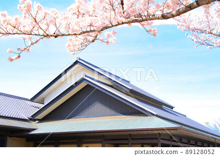 名古屋市的風景、名古屋野樂堂和盛開的櫻花 89128052