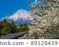 Mt. Fuji and cherry blossoms from the Kiseki Museum of Fine Arts 89128439