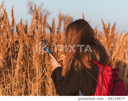 Pretty young woman in black coat with backpack smartphone on pampas grass sunset sky dry reeds Millennial long hair girl Pretty young woman in black coat with backpack smartphone on pampas grass sunset sky dry reeds Millennial long hair girl 89129677