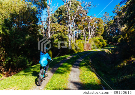 O'Shannassy Aqueduct Trail near Warburton in Victoria Australia O'Shannassy Aqueduct Trail near Warburton in Victoria Australia 89130615