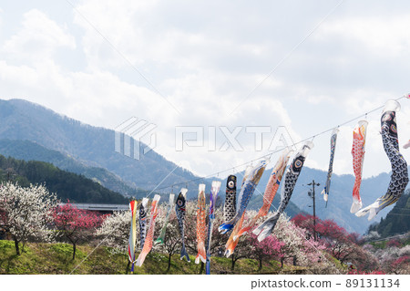 日本第一桃花沿江，紅、白、粉紅的花朵盛開。 89131134