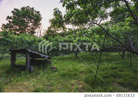 200603 Urisu Higurashi z002 89131613