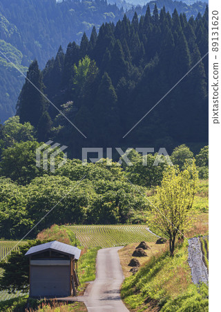 200530 烏里蘇 SG063 200530 烏里蘇 SG063 89131620
