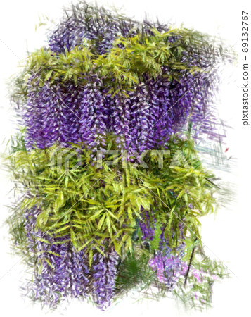 紫藤花(紫藤盛開的小山) 紫藤花(紫藤盛開的小山) 89132767