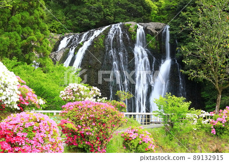 [Miyazaki Prefecture] Ryumon Falls and Azaleas (100 selections of waterfalls in Japan) 89132915