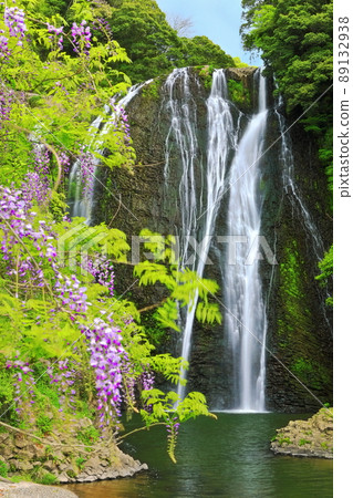 [鹿兒島縣]龍門瀑布和紫藤（日本瀑布百選） 89132938