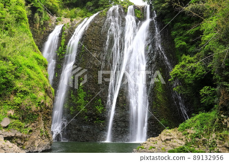 [宮崎縣]新鮮綠色的龍門瀑布（日本100個瀑布） 89132956