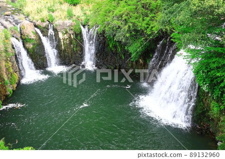 [Kagoshima Prefecture] Fresh green Itaite Falls (Kanayama Falls) 89132960
