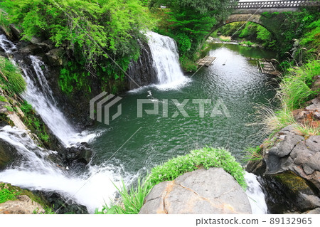 [Kagoshima Prefecture] Fresh green Itaite Falls (Kanayama Falls) 89132965