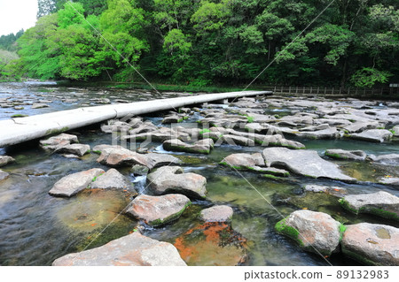 [Miyazaki Prefecture] Fresh green Seki tail pothole 89132983