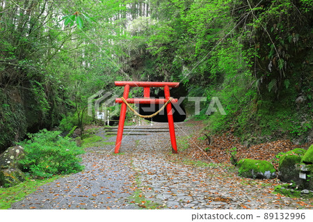 [鹿兒島縣]溝口洞窟（日本100名洞窟） 89132996