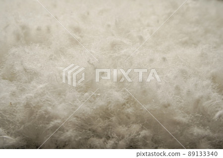 水禽的豐滿球 89133340