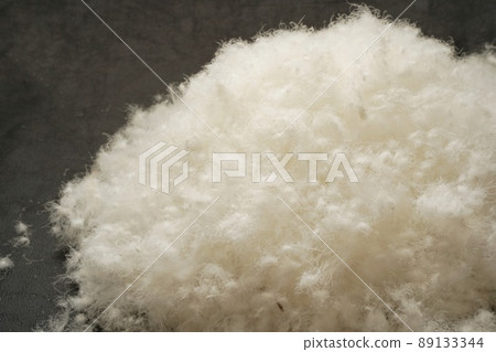 Waterfowl's plump down ball 89133344