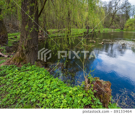 Spring picturesque pond in the former Orlovsky estates park, Maliivtsi, Khmelnytsky region, Ukraine. 89133464