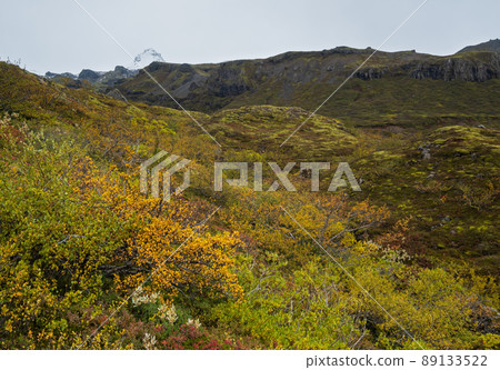 Beautiful autumn view of Mulagljufur Canyon Iceland. Not far from Ring Road and at the south end of Vatnajokull icecap and Oraefajokull volcano. 89133522