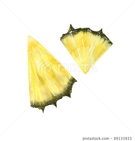Watercolor illustration of hand-drawn fruits isolated pineapple Watercolor illustration of hand-drawn fruits isolated pineapple 89133933
