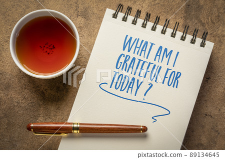 what am I grateful for today? 89134645