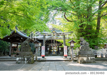 Scenery of Kizuki Shrine <Musashino City, Tokyo / April> Scenery of Kizuki Shrine <Musashino City, Tokyo / April> 89136460