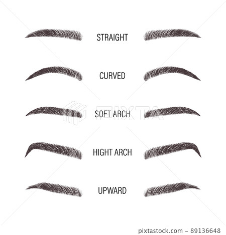 Female eyebrows. Various forms and types. Arch brows shapes. Linear vector Illustration in trendy minimalist style. Brow bar logo 89136648