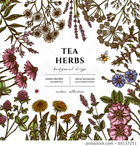 Tea herbs hand drawn illustration design. Background with retro chamomile, mint, chicory, etc. 89137251