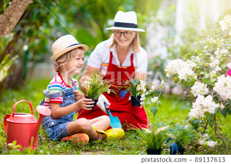 Woman and child gardening. Grandmother and kid. Woman and child gardening. Grandmother and kid. 89137613